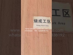 Área de trabajo de disparo